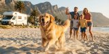 Urlaub mit Hund: Haustierfreundliche Reiseziele 2025