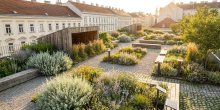 Gartengestaltung in Graz: Klimaangepasste Pflanzen und aktuelle Trends